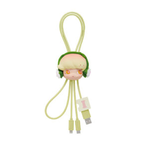 POP MART Hand in Hand Series 2 in 1 Cable Blind Box